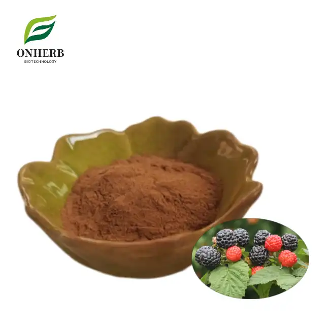 Raspberry Extract Raspberry Ketone Powder