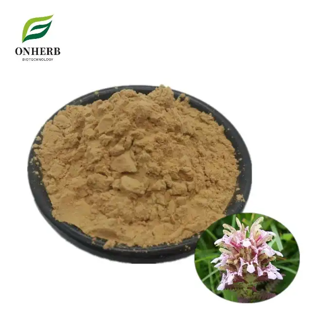 Pedicularis Densiflora Extract Powder