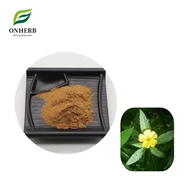 damiana herb extract powder