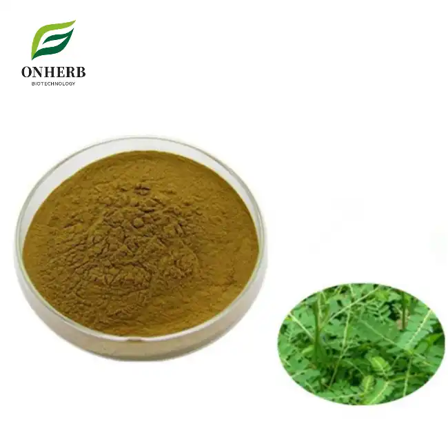 Phyllanthus Niruri Extract Powder