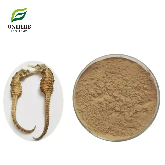 Shippocampus Extract Powder