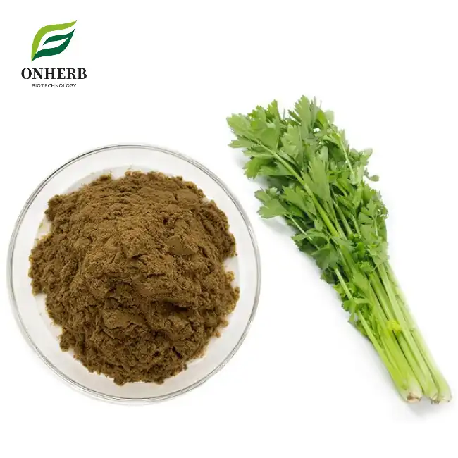 Parsley Root Extract Powder