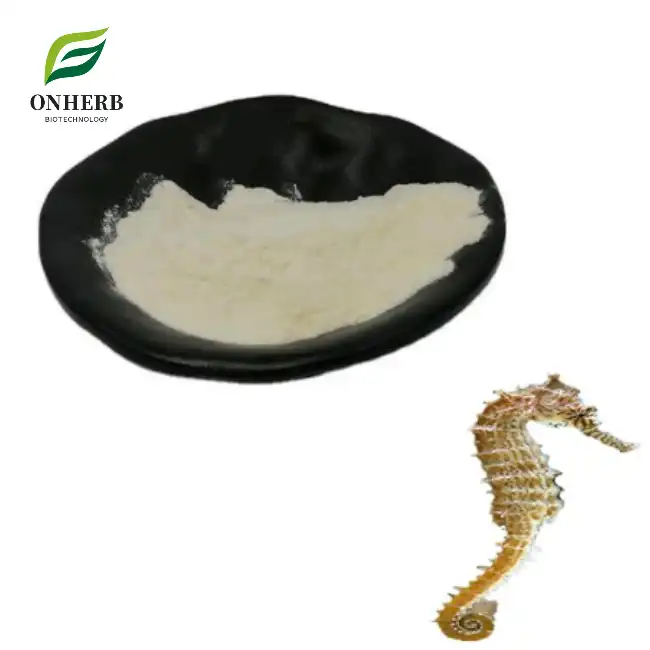 Hippocampus Extract Hippocampus Protein Powder