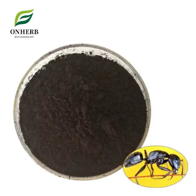 Black Ant Extract Powder