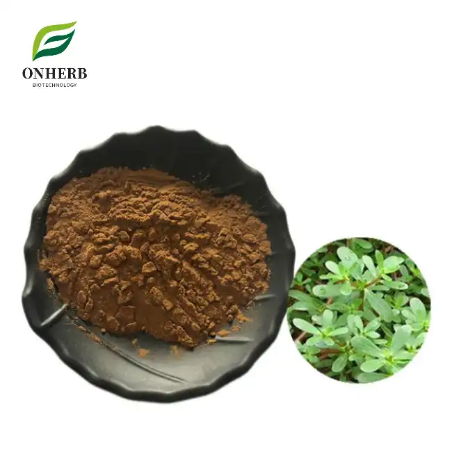 Bacopa Monnieri Extract Bacopasides Powder