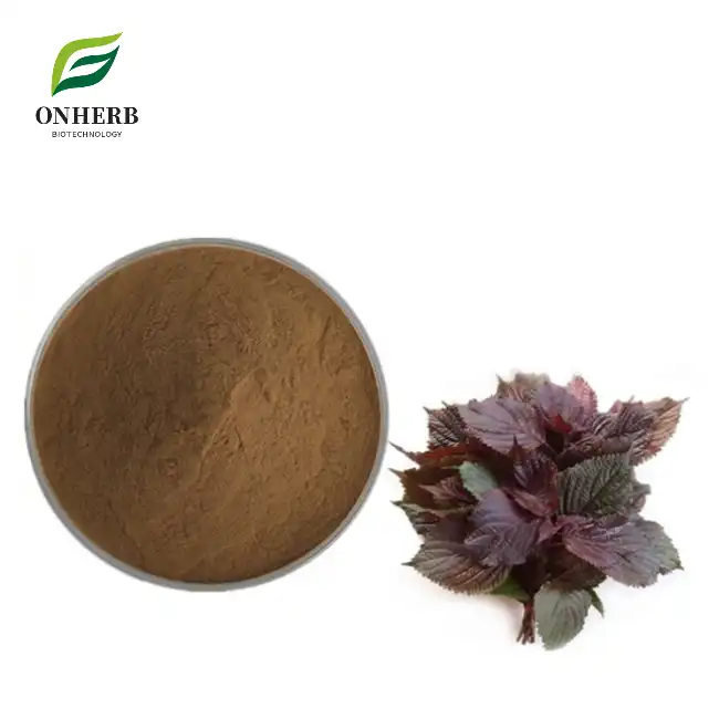 perilla frutescens leaf extract powder