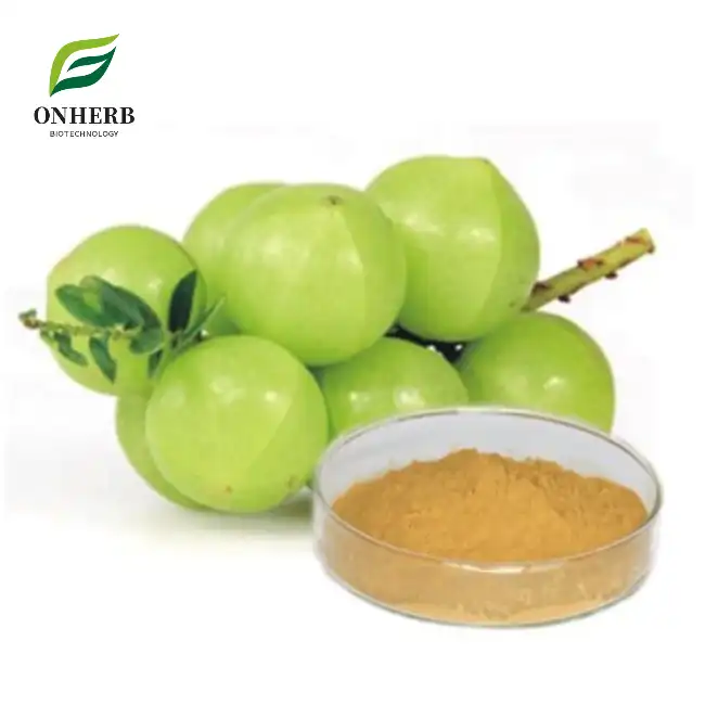 Alma Phyllanthus Emblica Fruit Extract Powder