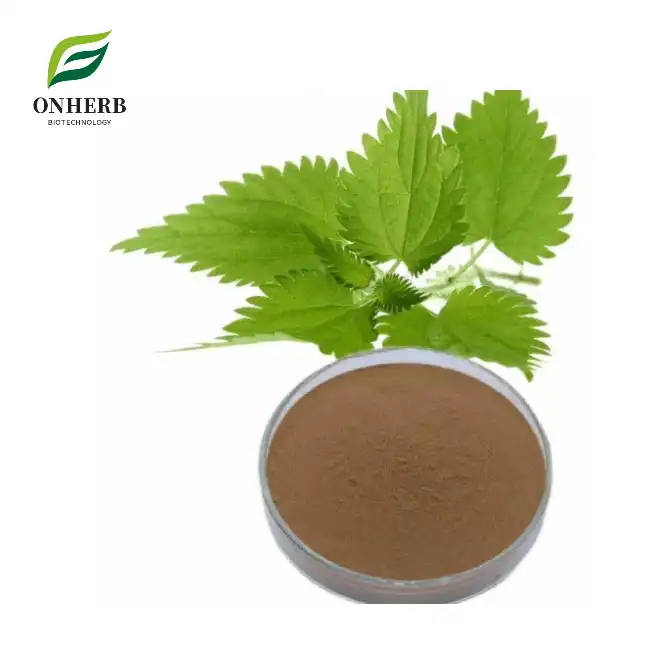 Nettle Extract Powder