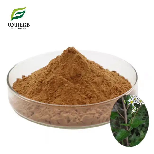 Aster Scaber Extract 99% Doellingeria Scaber Extract Powder